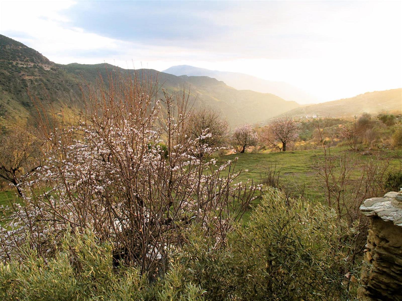 Rural House, Heated Pool & Steam Room, Casa Aloe. Atalbeitar Esterno foto