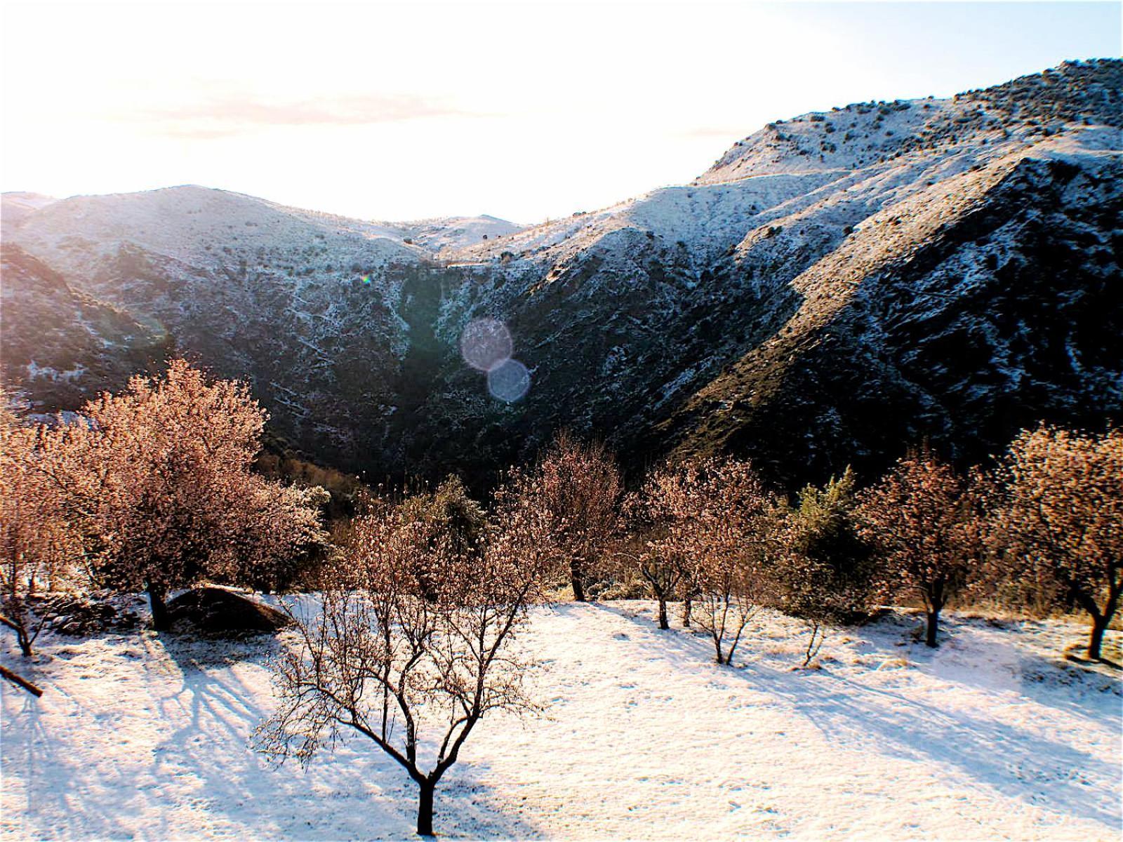 Rural House, Heated Pool & Steam Room, Casa Aloe. Atalbeitar Esterno foto