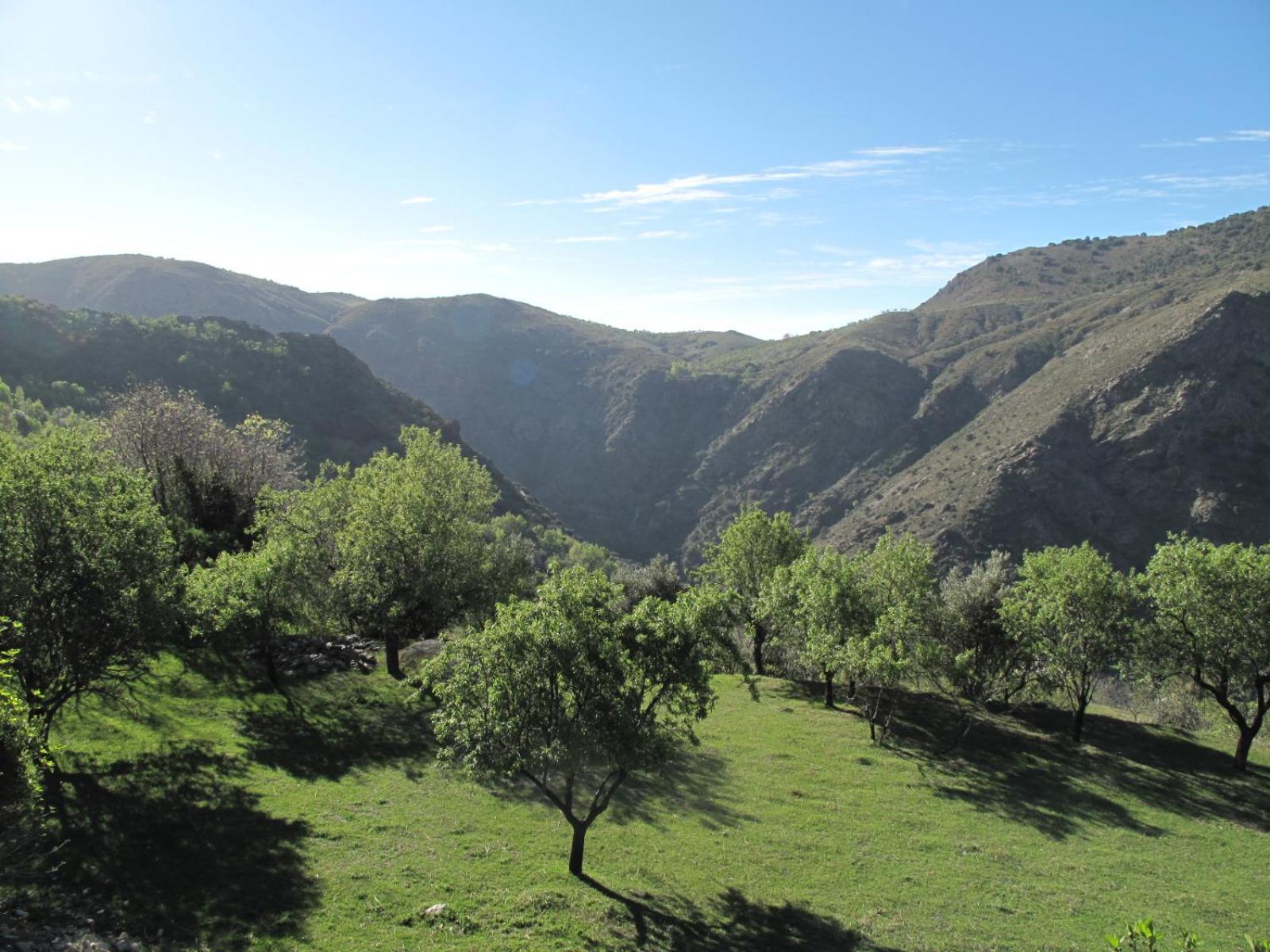 Rural House, Heated Pool & Steam Room, Casa Aloe. Atalbeitar Esterno foto