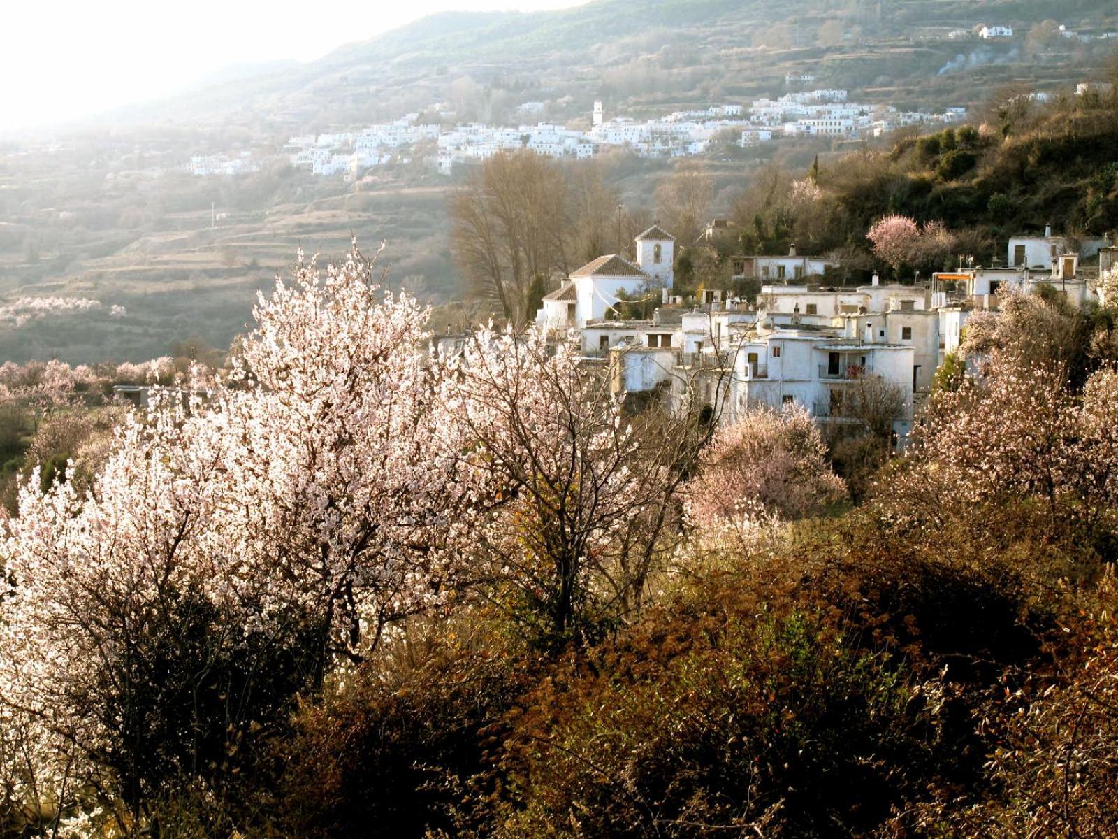 Rural House, Heated Pool & Steam Room, Casa Aloe. Atalbeitar Esterno foto