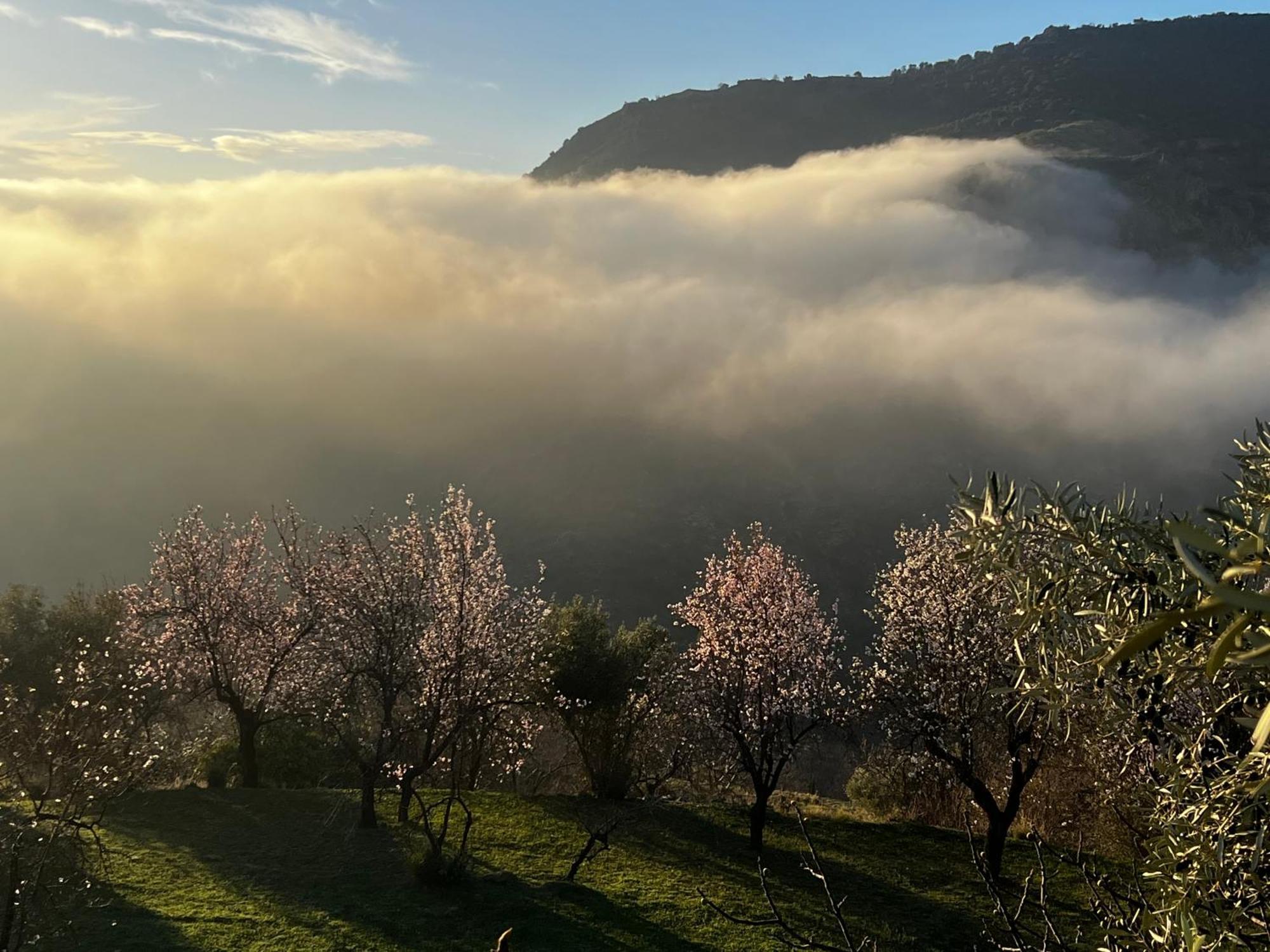 Rural House, Heated Pool & Steam Room, Casa Aloe. Atalbeitar Esterno foto